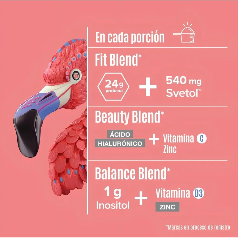 Birdman Fitmingo Proteína Vegetal Sobre Con 34g Dif Sabores Sabor