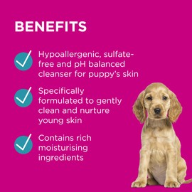 PAW by Blackmores Gentle Puppy Shampoo | Gently, Effectively cleans & Nurtures Young Skin |200ml
