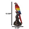 Ebros Tropical Rainforest Red Scarlet Macaw Parrot Perching On Branch