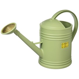 BTW-36 British Water Pot