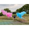 BlastCloud Gender Reveal Targets