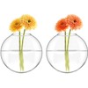 Mkono Wall Hanging Glass Terrariums Planter Oblate Flower Vase for