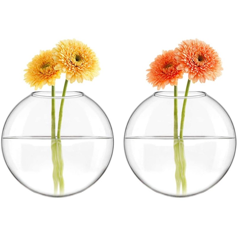 Mkono Wall Hanging Glass Terrariums Planter Oblate Flower Vase for