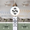 Doshisha DSLS10MC Remote Control for CIRCULIGHT Mega Series Hanging Model