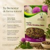 Té Quiere Te cardo mariano en herbal Sin ser Amargo