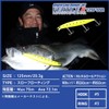 Daiwa Sea Bass Lure Shoreline Shiner Z Bertis R125F-SSR PG
