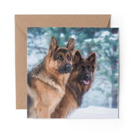 1 x Greeting Card German Shepherd Dog Alsatian Winter - Blank Birthday Celebration Anniversary #15520