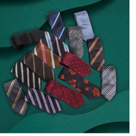 MEIANJU Zipper Ties for Men, 15PCS Neckties for Men, Boy's Silky Zip Up Ties, Men's Pretied Ties Set