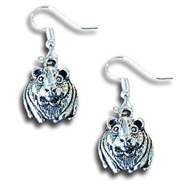 Guinea Pig and Carrot Charm Jewelry by “The Crazy Guinea Pig Lady” (Earrings)