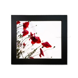 Tailored Frames Seattle Black 8'' x 6'' Square Edge Single Picture Frame | Table Top & Wall Hanging Type | Photo Frame Without Mount