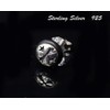 [Silver 925] 片耳 Earrings Punk Rock Gothic Men's Women's; amthgps