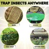 W4W, Spotted Lantern Fly Tree Trap - 4 Rolls (30