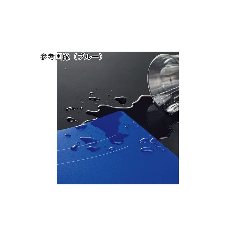 Lion Office Equipment PP Flat File Minano Black F-51M