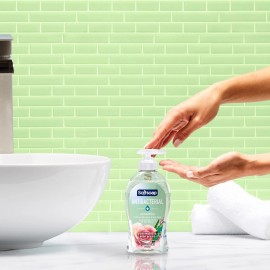 Softsoap Antibacterial Liquid Hand Soap Rosewater Aloe Pack of 6 11.25 Oz