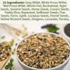 Kiki’s Premium Parrot Food| Protein-Rich Low-Fat Formula | Cockatiel, Conure,