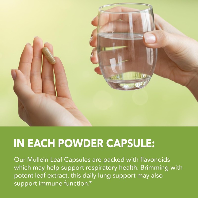 Mullein Leaf Capsules for Respiratory Health - 5000mg Extract 10:1