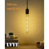 LVYE T10 Tubular Bulbs, Dimmable Led Light Bulb,E26 Medium Base,10W