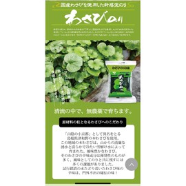 Marutoku Nori Wasabi Aji Nori Japanese Wasabi Flavored Seaweed Snacks 60g (Pack of 3), Nori Seaweed Snack Umami Spicy Wasabi Flavor from Hiroshima Prefecture, MADE IN JAPAN