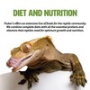 Fluker's Gourmet Canned Food for Reptiles, Fish, Birds and Small