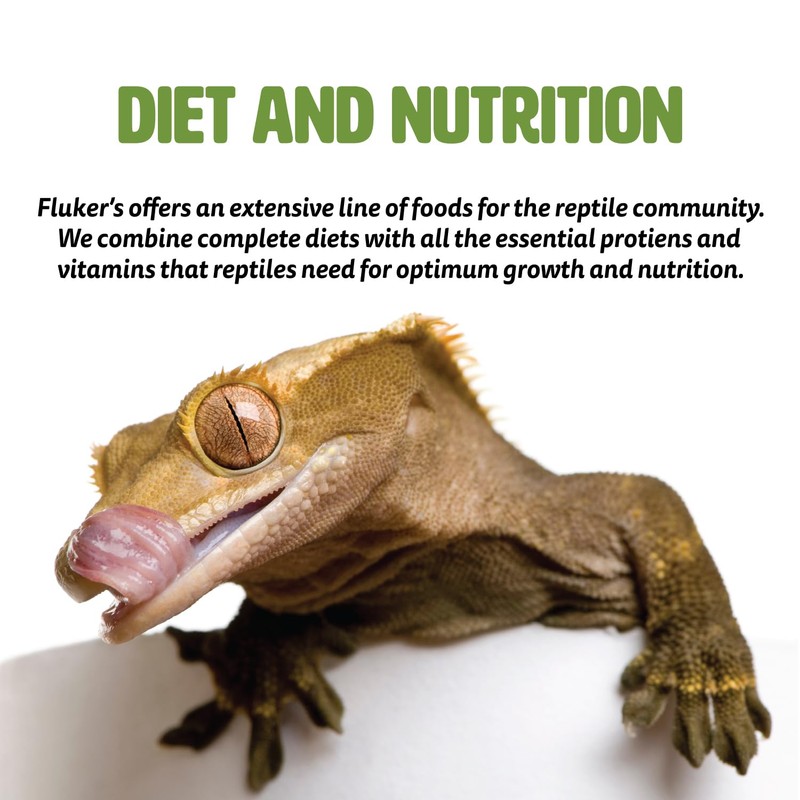 Fluker's Gourmet Canned Food for Reptiles, Fish, Birds and Small