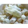 Royal Frankincense Organic Green Hojari Frankincense Oman (Bos. Sacra) (3