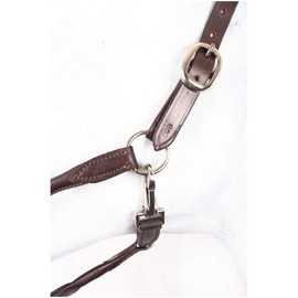 RL24 HKM by Reiterladen24 Basic Line Leather Headcollar Round Stitched Brown Warmblood