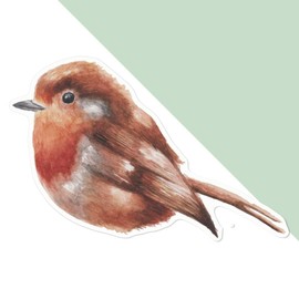 Large 210mm 'Robin' Permanent Sticker Decal for Cars/Windows/Bins/Walls etc (DW00116990)