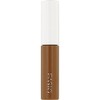 FASIO Chip Trick Powder Eyebrow Light Brown (BR301) 0.06 oz