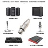 ECSiNG 2 x XLR 3-Pin Female to RCA Female Audio