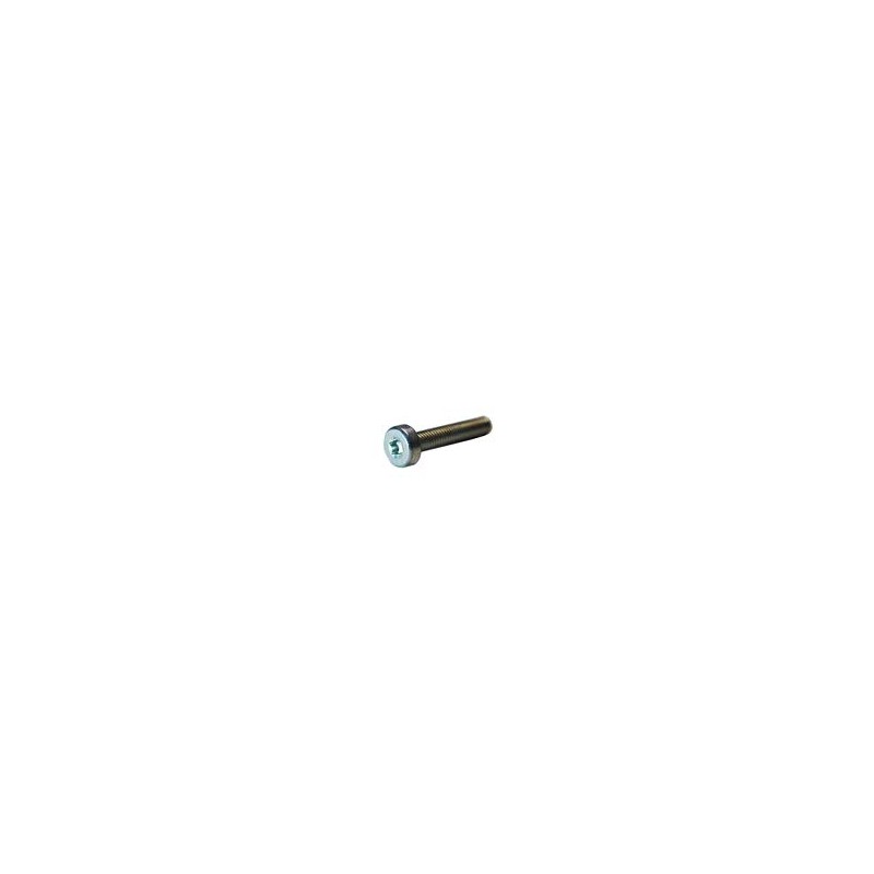 Echo V805000170 - bolt, torx 5x35