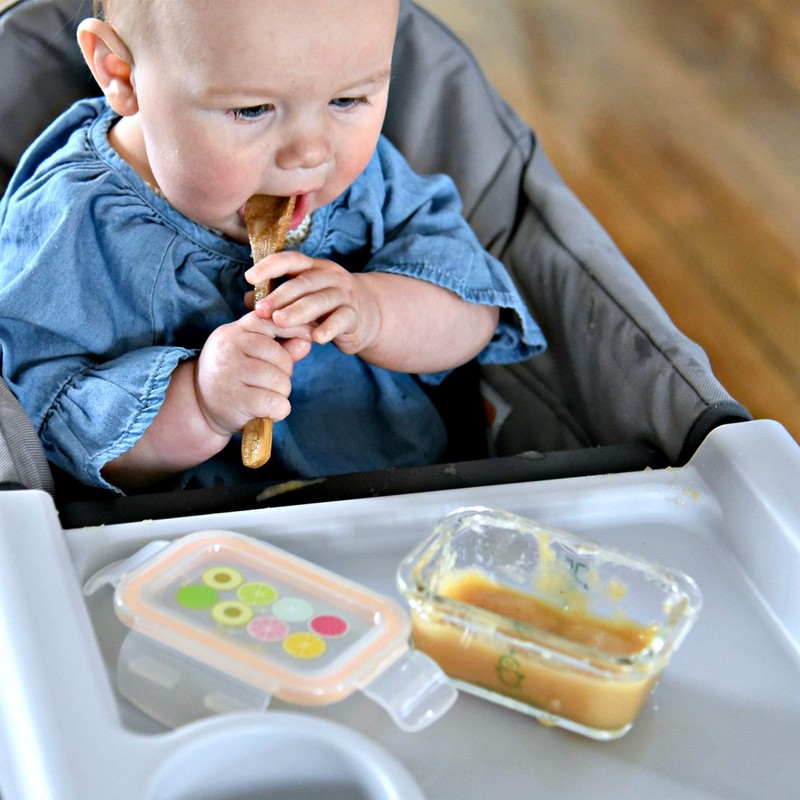 Sage Spoonfuls Borosilicate Glass Baby Food Containers with Lids -