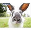 Ancol Just 4 Pets Carrot Nibbles Chew Toy ideal for