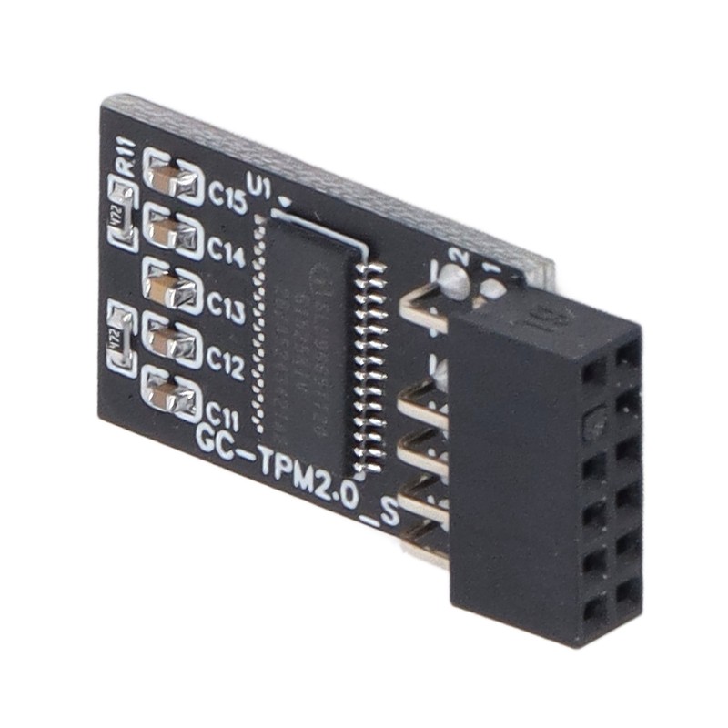 TPM 2.0 Module LPC SPI 12Pin Remote Card Encryption Security