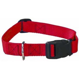 Zack & Zoey RED Dog Collar Bulk LOT Packs 4 Sizes Nylon Litter Band Puppy Rescue Shelter(XSmall - 6 to 10 Inch 8 Collars)