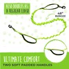 Mighty Paw Hands Free Dog Leash | Bungee Waist Leash