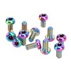 12pcs RISK Bicycle Disc Brake Rotor Bolts M5x10mm T25 Titanium