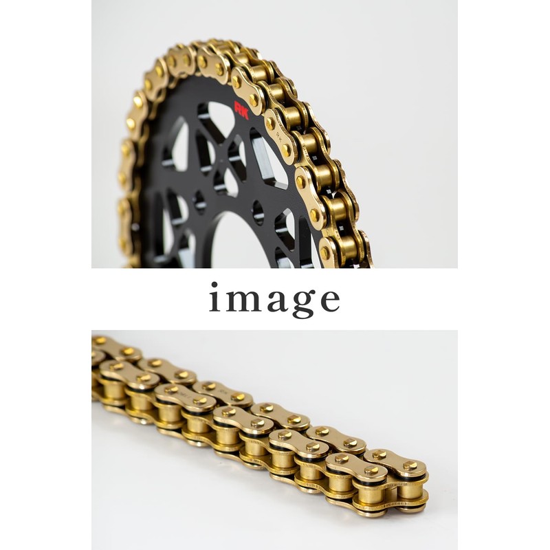 RK GV420MRU 100L Chain
