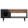 45'' Black Coffee Table Cat Living Room Tables with Storage