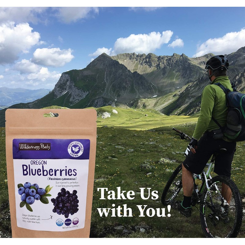 Wilderness Poets Oregon Blueberries (Sweetened with Apples) - Whole, Dried,