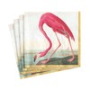Caspari Audubon Birds and Flamingo Paper Cocktail Napkins, Two Packs