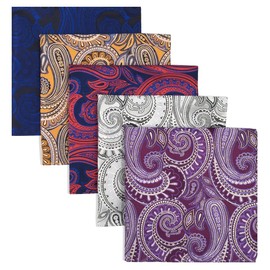 Shlax&Wing 5 Pieces Assorted Mens Pocket Square Handkerchiefs Set Lot