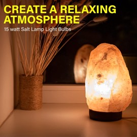 Bonlux Bonlux 10-Pack Salzlampe Glhbirnen E14 15W Khlschrank Glhbirne High Temp 300 Backofen Glhbirnen Dimmbar E14 SES Kleine Edison Schraube Pygm?e Glhbirnen T22 R?hrenf?rmige Glhbirne