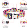 Girl Dog Collar with Bow, Pretty Colorful Cheetah Print Bowtie