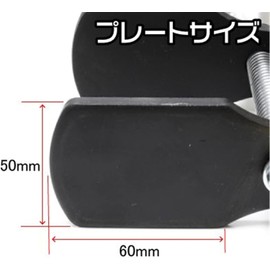 This is a specialized tool designed to easily push back the caliper piston when replacing brake pads