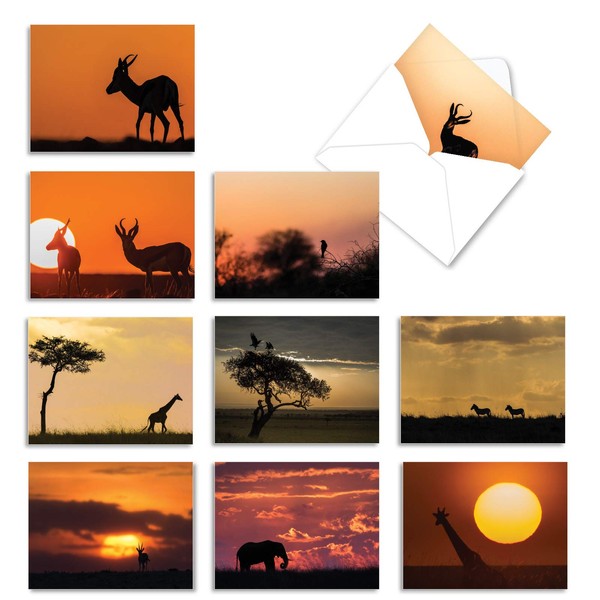 10 All-Occasion Note Cards with Envelopes 4 x 5.12 inch, Assorted 'Safari Sunsets' Stationery Featuring Stunning African Sunsets, Blank Greeting Cards for Weddings, Birthdays, Thank You M6551OCB