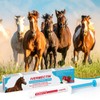 Ivermect Horse Paste 1.87%, for Horse Use Only, 6.08g, 1