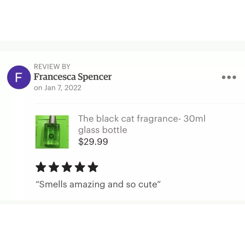 Chat Noir the Fragrance - 30 ml 🐈‍⬛ Miraculous Ladybug!
