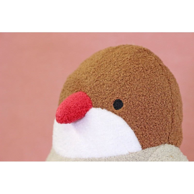 humohumo Smackdown – Prime