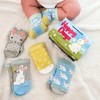 Cucamelon Baby Hoppy Days Sock Gift, Multi, One Size