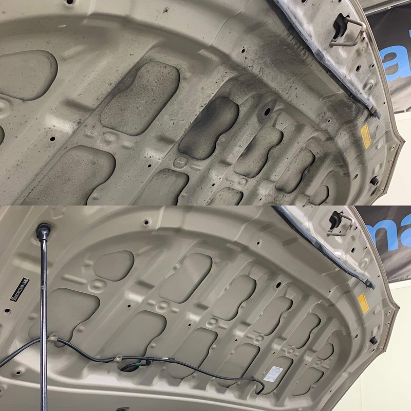 nextzett 90140515 W99 All-Purpose Degreaser Concentrate